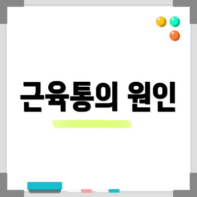 근육통의 원인