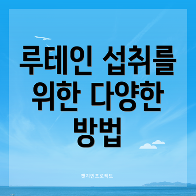 루테인 섭취를 위한 다양한 방법