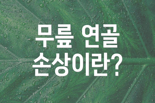 무릎 연골 손상이란?