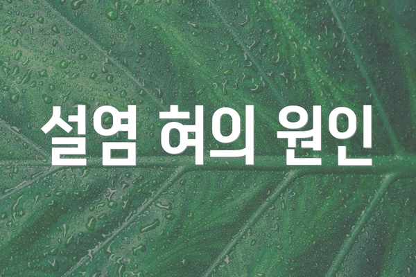설염 혀의 원인