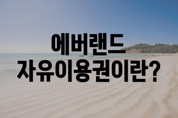 에버랜드 자유이용권이란?