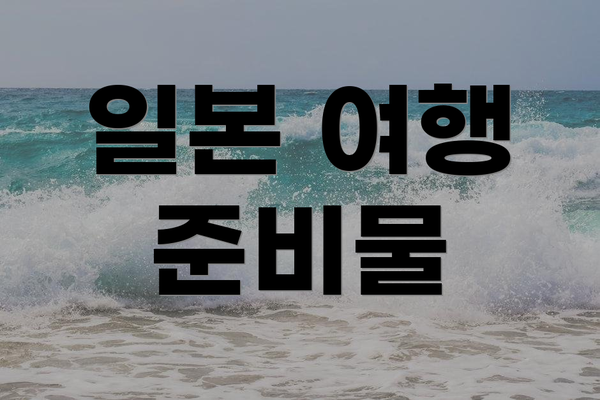 일본 여행 준비물