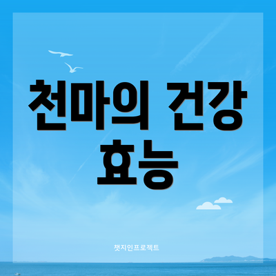천마의 건강 효능