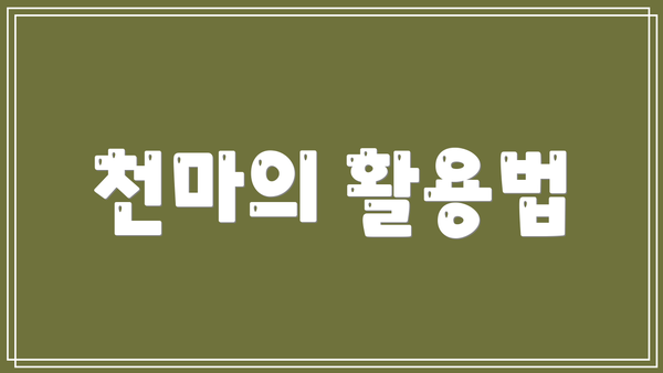 천마의 활용법