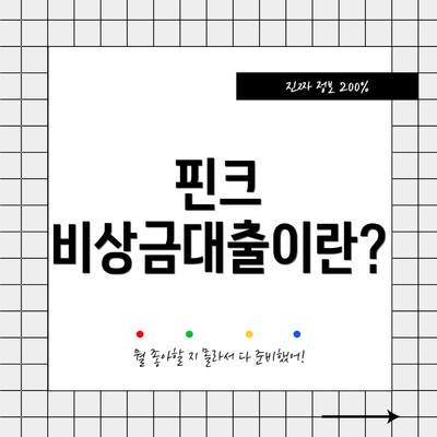 핀크 비상금대출이란?