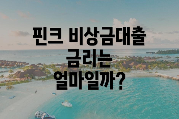 핀크 비상금대출 금리는 얼마일까?