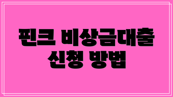 핀크 비상금대출 신청 방법