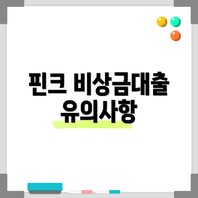 핀크 비상금대출 유의사항