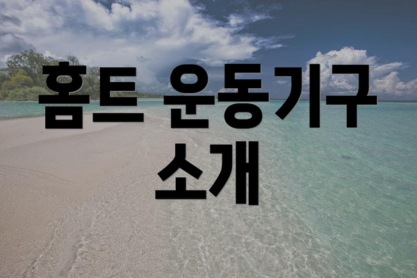 홈트 운동기구 소개