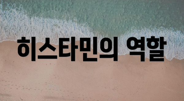 히스타민의 역할