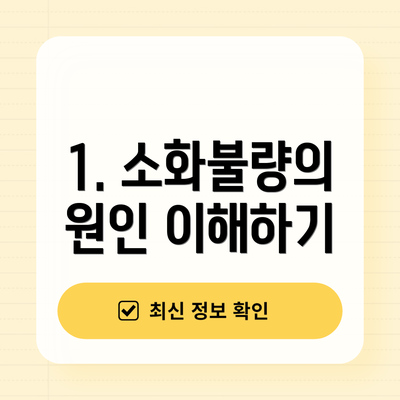 1. 소화불량의 원인 이해하기