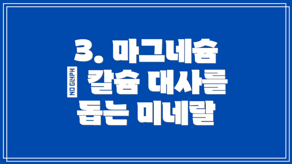 3. 마그네슘 – 칼슘 대사를 돕는 미네랄