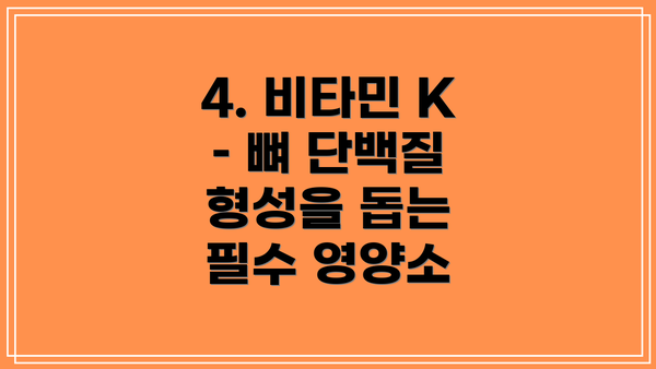 4. 비타민 K – 뼈 단백질 형성을 돕는 필수 영양소
