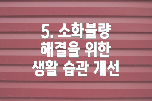 5. 소화불량 해결을 위한 생활 습관 개선
