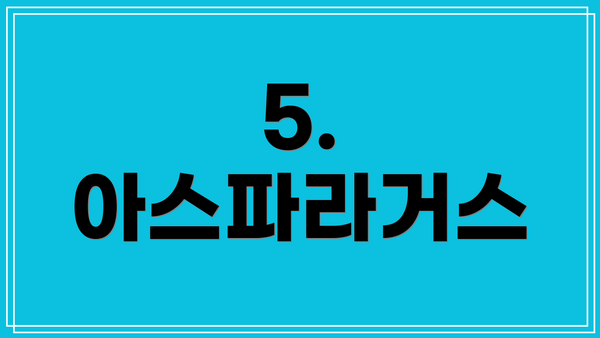 5. 아스파라거스