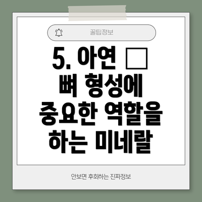 5. 아연 – 뼈 형성에 중요한 역할을 하는 미네랄