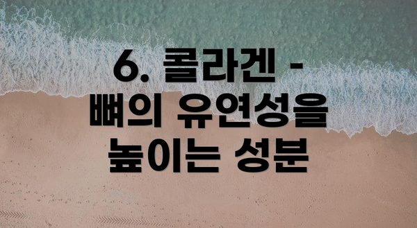 6. 콜라겐 – 뼈의 유연성을 높이는 성분