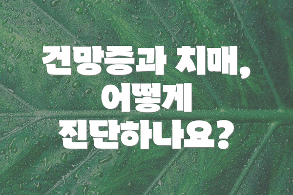 건망증과 치매, 어떻게 진단하나요?