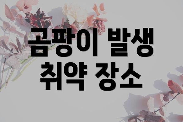 곰팡이 발생 취약 장소