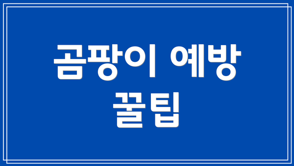 곰팡이 예방 꿀팁
