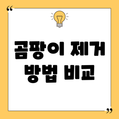 곰팡이 제거 방법 비교