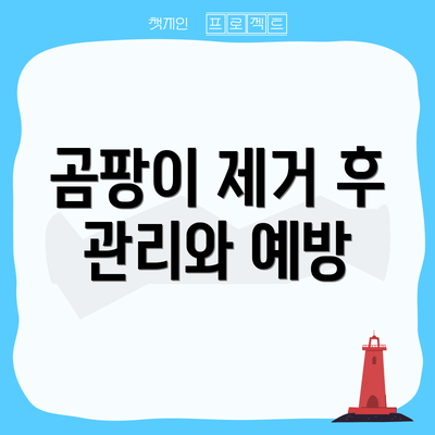 곰팡이 제거 후 관리와 예방