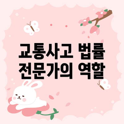 교통사고 법률 전문가의 역할