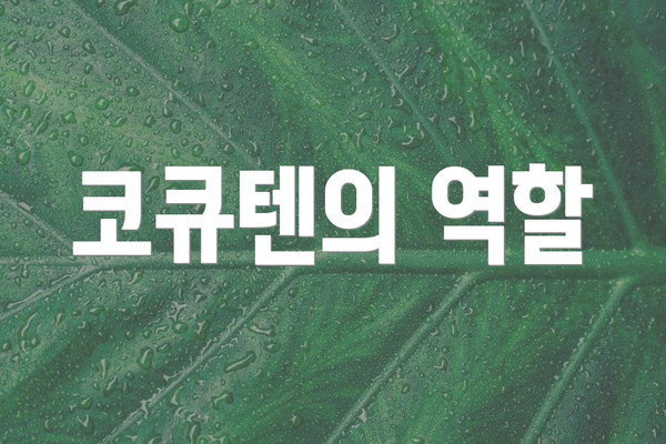 코큐텐의 역할