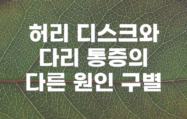 허리 디스크와 다리 통증의 다른 원인 구별