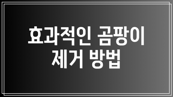 효과적인 곰팡이 제거 방법