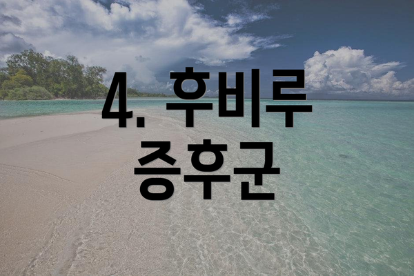 4. 후비루 증후군