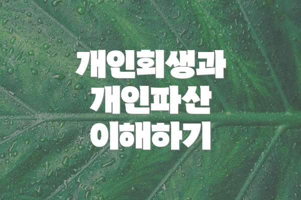 개인회생과 개인파산 이해하기
