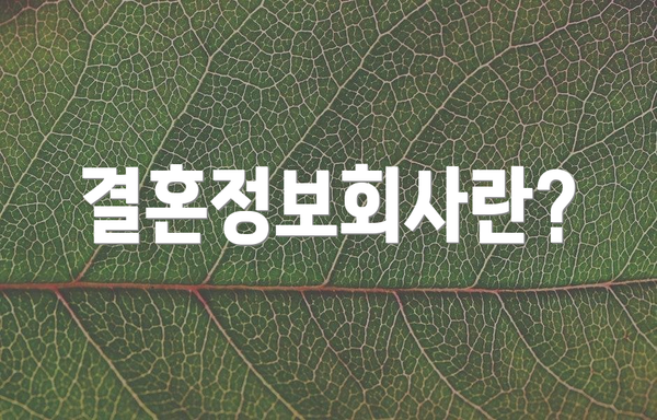 결혼정보회사란?