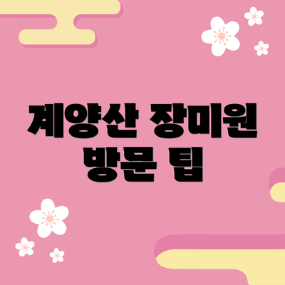 계양산 장미원 방문 팁