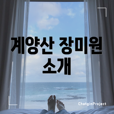 계양산 장미원 소개