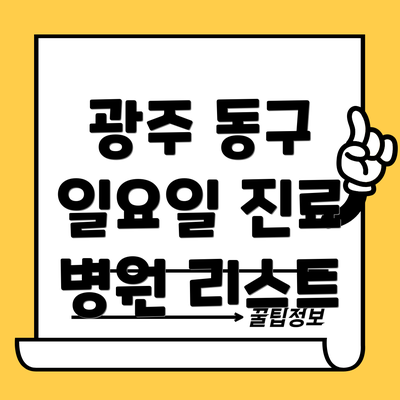 광주 동구 일요일 진료 병원 리스트
