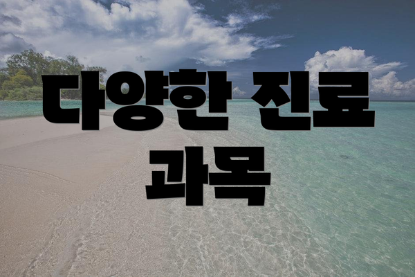 다양한 진료 과목