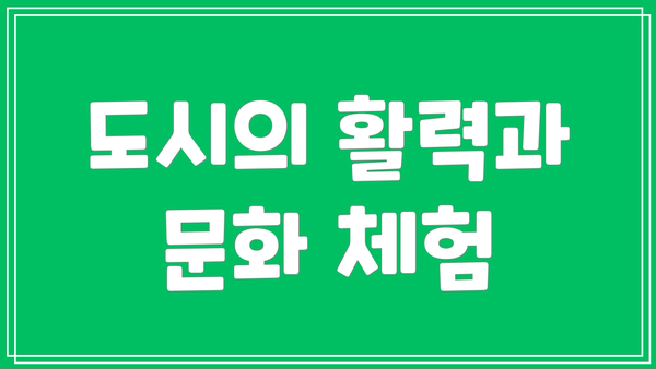 도시의 활력과 문화 체험