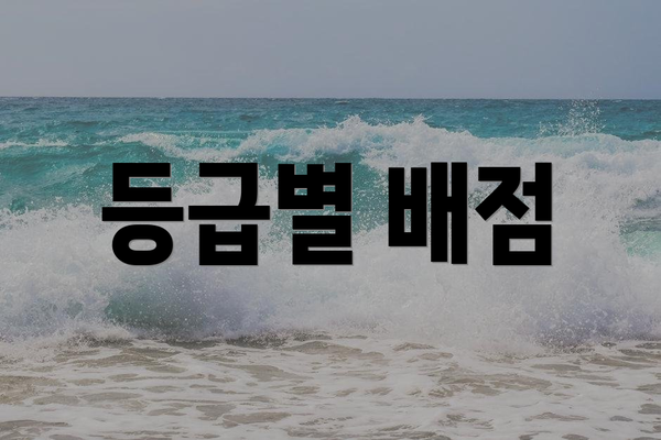 등급별 배점