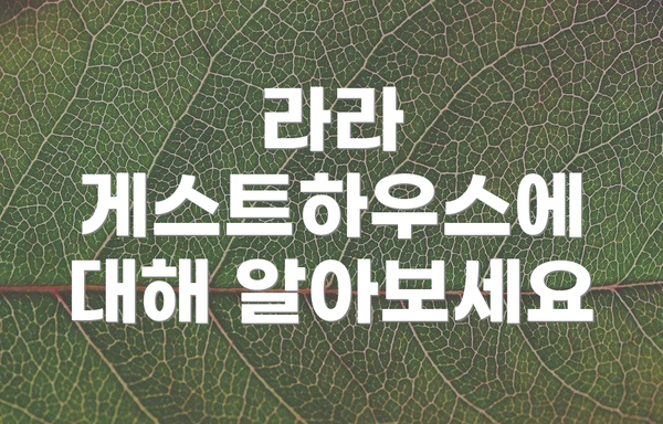 라라 게스트하우스에 대해 알아보세요