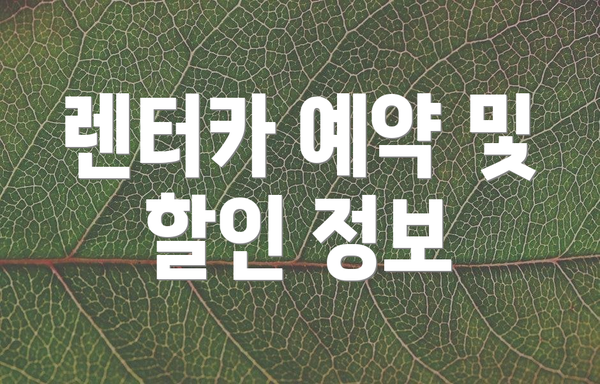 렌터카 예약 및 할인 정보