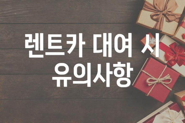 렌트카 대여 시 유의사항