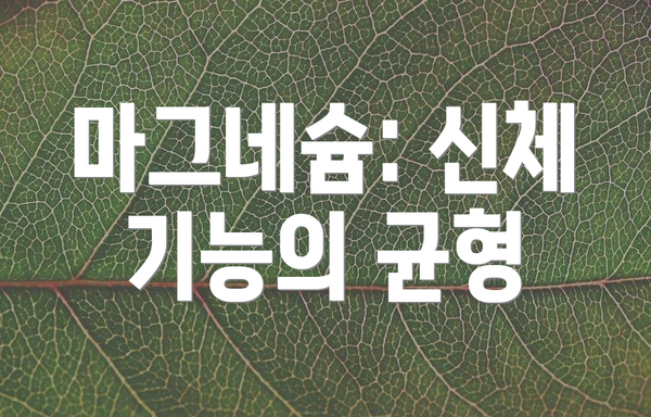 마그네슘: 신체 기능의 균형