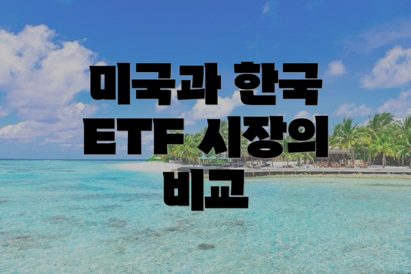 미국과 한국 ETF 시장의 비교