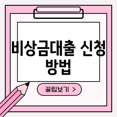 비상금대출 신청 방법