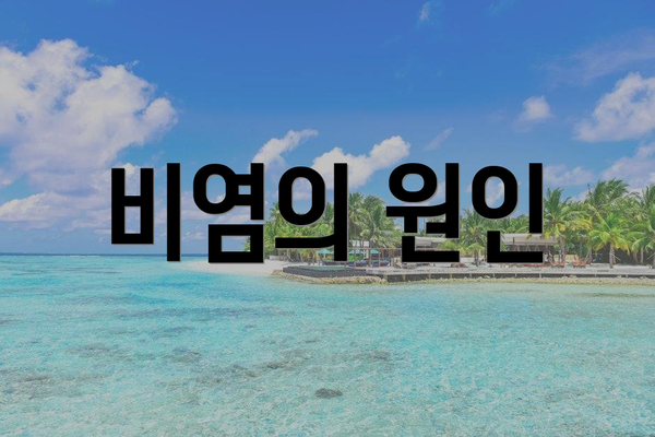 비염의 원인
