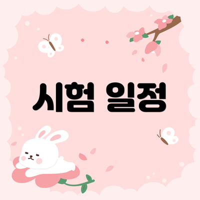 시험 일정