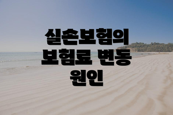 실손보험의 보험료 변동 원인