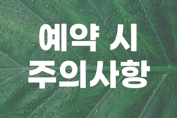 예약 시 주의사항