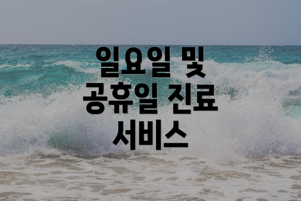 일요일 및 공휴일 진료 서비스